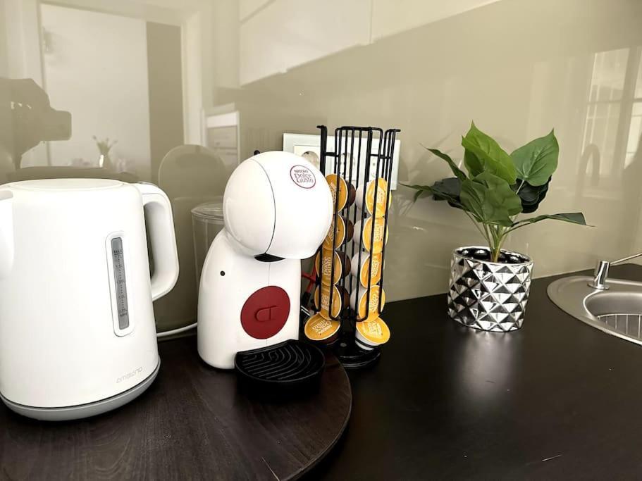Luxury Flat In Downtown With Free Parking Apartmán