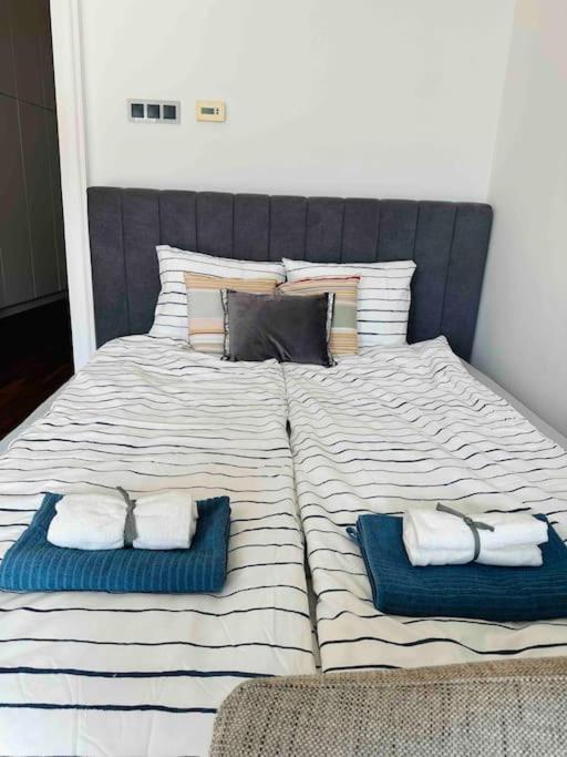 Luxury Flat In Downtown With Free Parking *